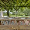 Dining Under Vines