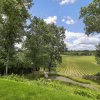 View on Vineyards
