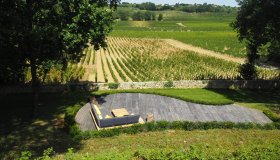 Terrace overlooking vineyards